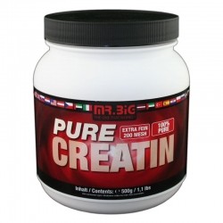 MR. BIG Creatine 500 gram
